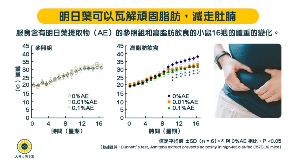 減肥減肚腩之外，最重要係減內臟脂肪！香港大輪明日葉大助減去內在脂肪，每日一杯建立健康，仲可以自自然然咁減肥瘦落嚟